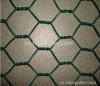 Hexagonal wire mesh