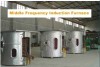 Induction Furnace
