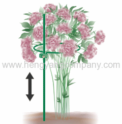 Flower Srial Plant Support