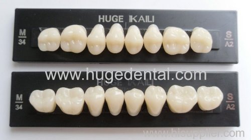 2-layer acrylic teeth KAILI