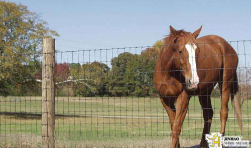 Field Fences