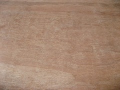 Acacia Plywood