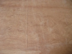 Keruing Plywood