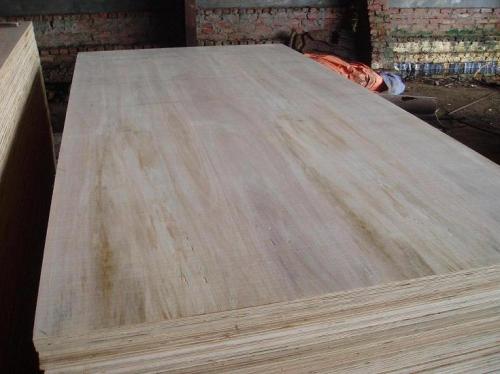 Eucalyptus Plywood Grade 3