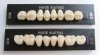 dental acrylic resin