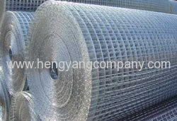 galvanized Welded wire mesh