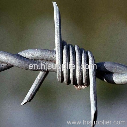 Protective barbed wire