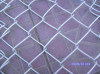 Chain link fence