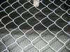 galvanized chain link fence