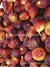 Fresh Fig