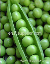 Green Peas