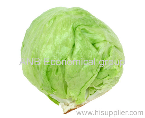 Lettuce