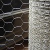 Electro galvanized hexagonal wire mesh