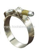 Spring loaded T-bolts clamp