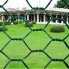 Hexagonal wire mesh fence