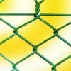 PVC coated chain link fence