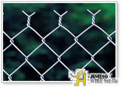 Security Fence