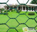 PVC Coated Hexagonal Wire Mesh fence