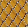 Galvanized chain link fence