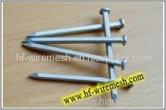 Galvanized Nails