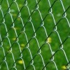 Hot dip galvanized chain link fence
