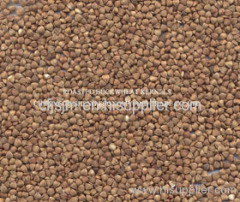 Roasted buckwheat kernels Buckwheat