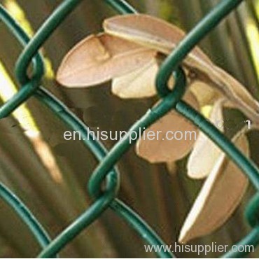 PVC coated chain link fence