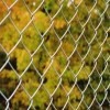 Stainless steel diamond fence