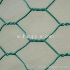 green hexagonal wire meshes