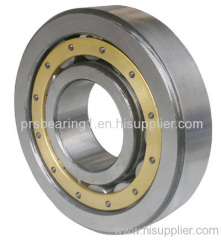 Single Row Cylindrical Roller Bearings