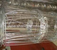 Grassland Wire mesh fence