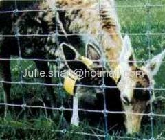 Grassland Wire mesh fence