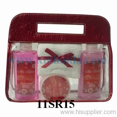 Cosmetic Bag Set