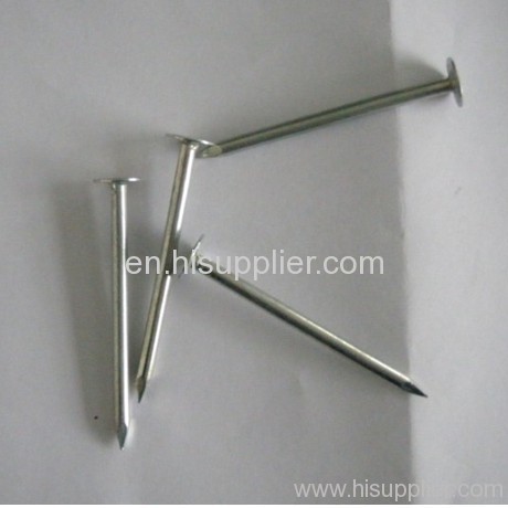 common iron nails