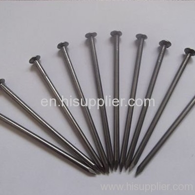 stainless steel Common nails