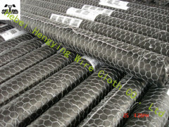 hexagonal wire mesh