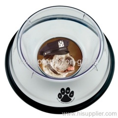 Small Pet Bowl