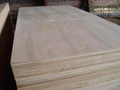 Plywood for construction