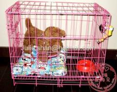 Fold dog cage