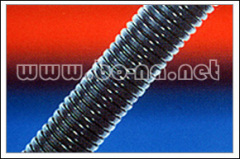 BN-PATZ Special Nylon Hose