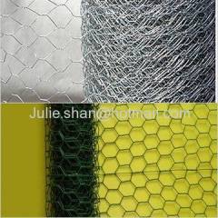 Hexagonal wire mesh net