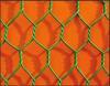 Chicken wire mesh fence