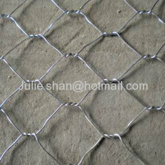 PVC Plastic Galvanized chicken wire mesh fence