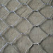 PVC Plastic Galvanized chicken wire mesh fence