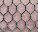 China hexagonal wire mesh