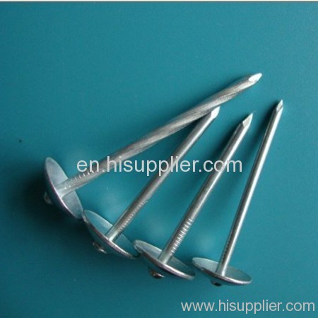 umbrella roofing nails