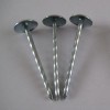 Umbrella head roofing nails