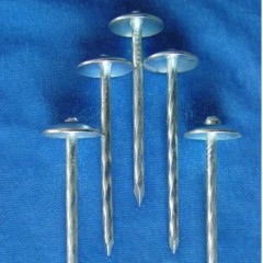 Stainless steel Steel Roofing nails