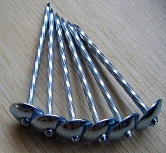 electro galvanized roofing nails