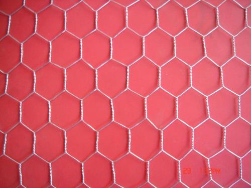 hexagonal wire mesh